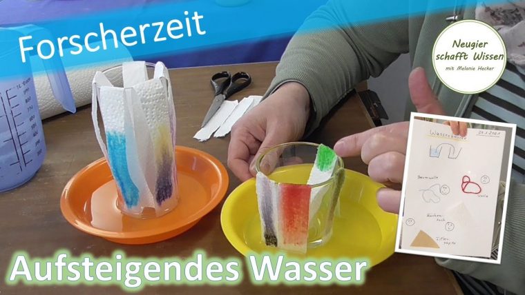 Aufsteigendes Wasser | Einfache Experimente | Für Zuhause à Experimente Für Zu Hause Aufsteigendes Wasser | Einfache Experimente | Für Zuhause à Experimente Für Zu Hause