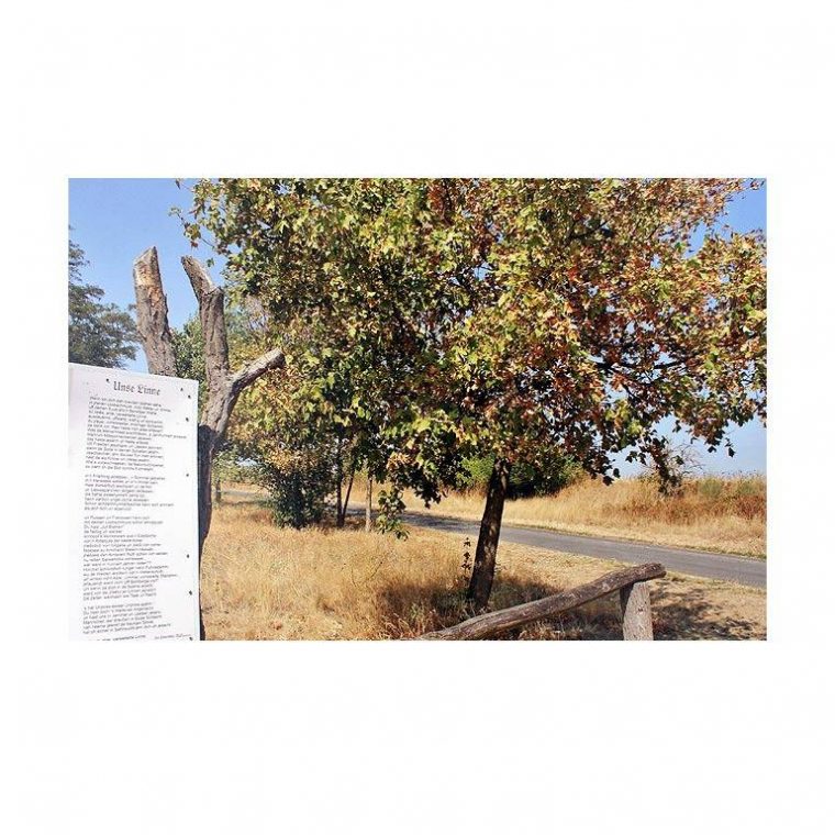 Bisherige Sonderausstellungen avec Jüdischer Kronleuchter