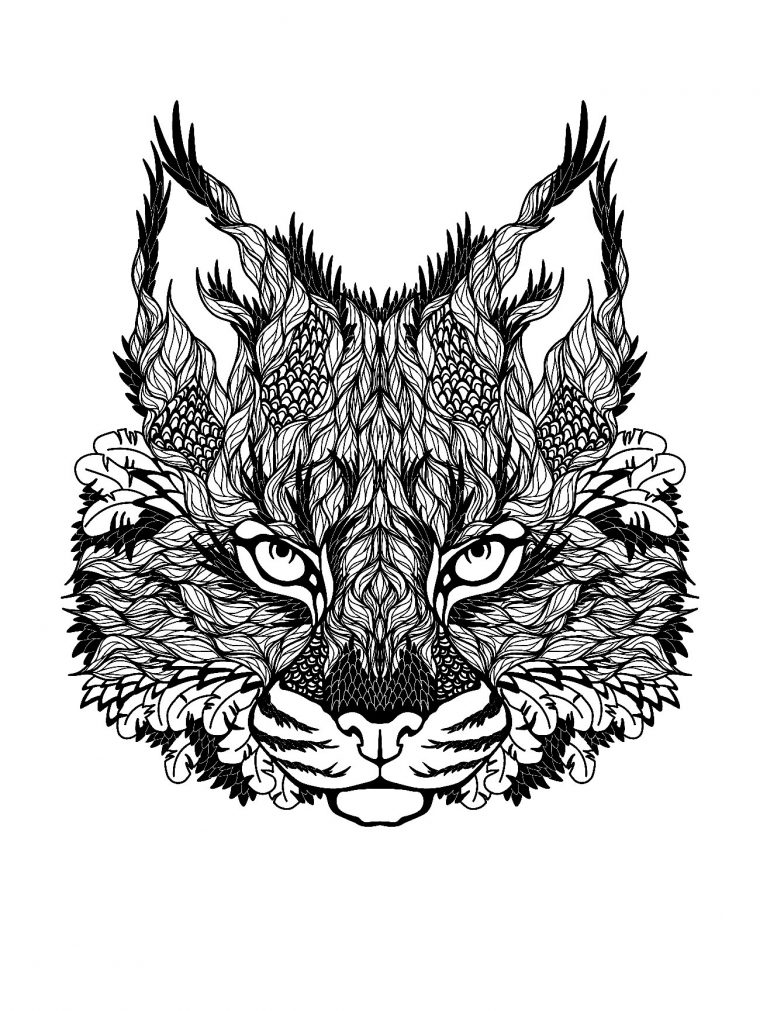 Chat – Chats – Coloriages Difficiles Pour Adultes avec Tete De Chat Dessin