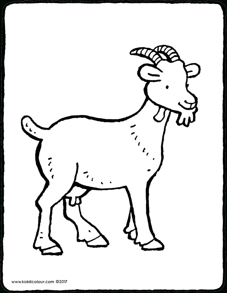 Chèvre – Kiddicolour intérieur Comment Dessiner Une Chèvre