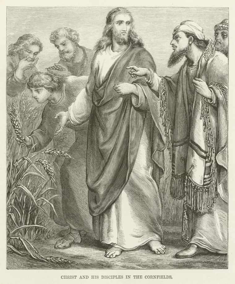 Christus Und Seine Jünger In Den Kornfeldern (#536596) serapportantà Jesus Und Seine Jünger