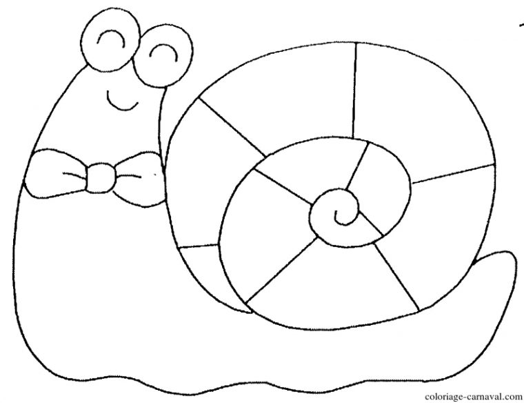 Coloriage Escargot Avec Un Noeud Papillon Dessin Gratuit serapportantà Coloriage Noeud Papillon Coloriage Escargot Avec Un Noeud Papillon Dessin Gratuit serapportantà Coloriage Noeud Papillon