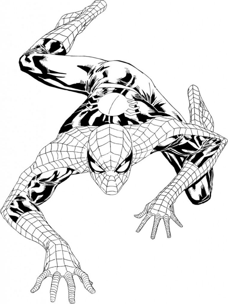 Coloriage Spiderman Gratuit À Imprimer Pour Les Enfants avec Coloriage Spider Man