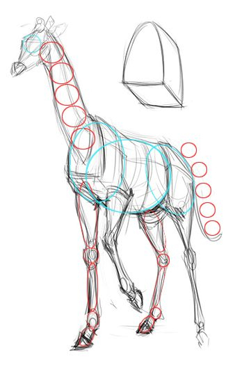 Comment Dessiner Une Girafe En 2020 | Girafe Dessin tout Dessin Facile De Girafe