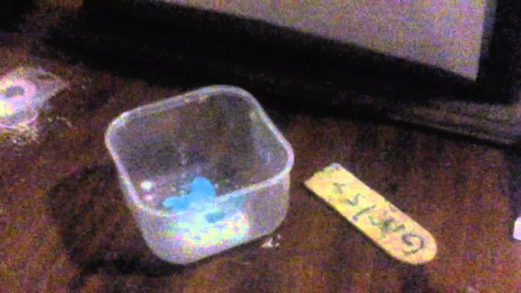 Como Hacer Slime Con Pasta De Dientes Y Asucar - à Cómo Hacer Slime Con Pasta Dental