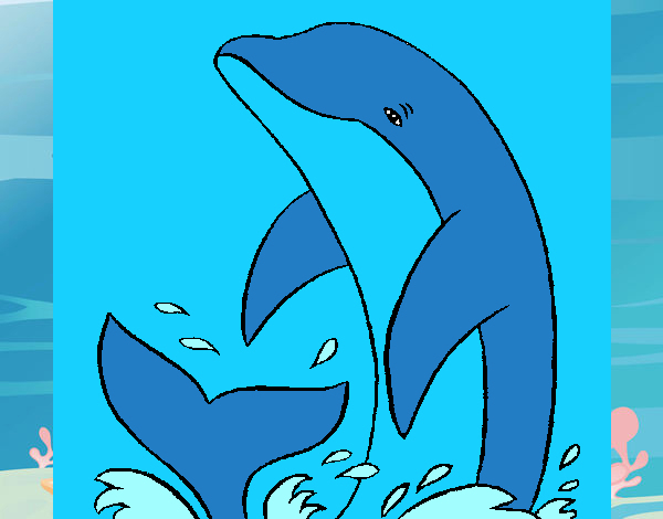 Dessin De Éclabousser Dauphin Colorie Par Membre Non serapportantà Dessin Dauphin Coeur Dessin De Éclabousser Dauphin Colorie Par Membre Non serapportantà Dessin Dauphin Coeur