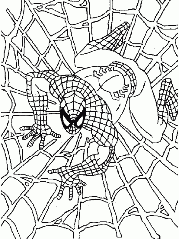 Dessin De Spiderman (2) destiné Dessin De Spiderman