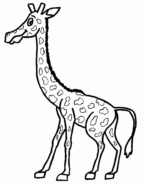 Dessins De Girafe À Colorier concernant Dessin Facile De Girafe