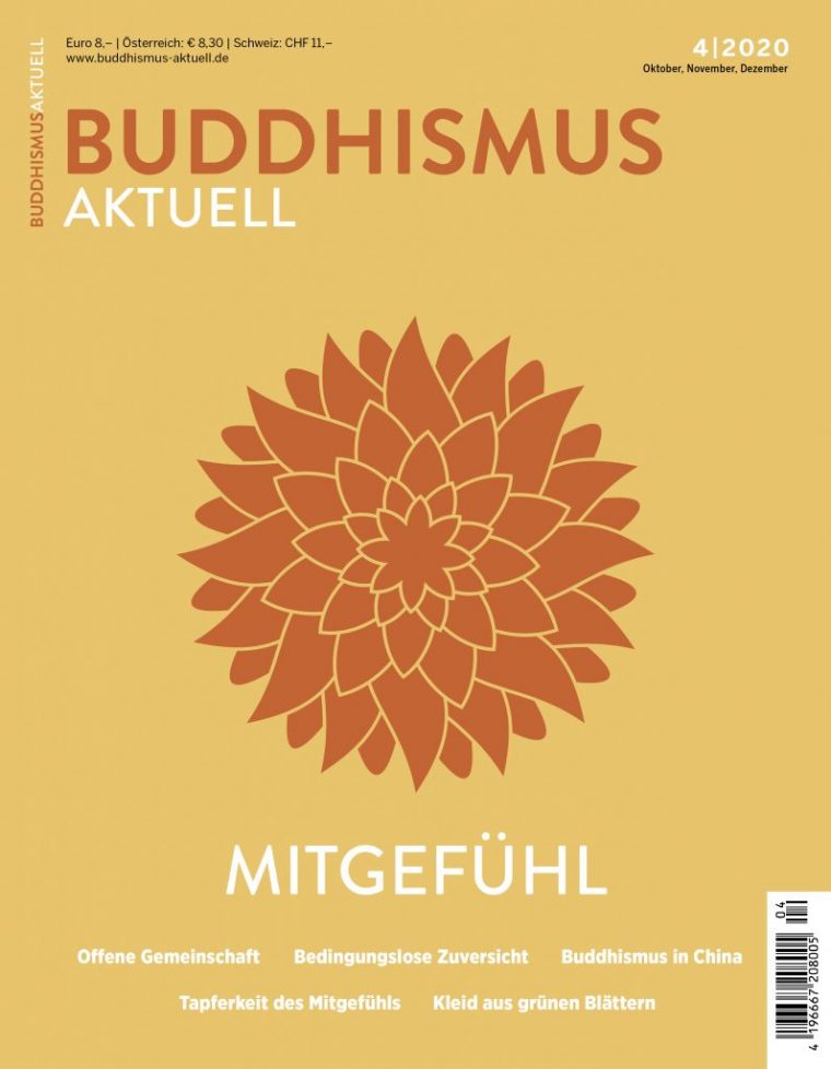 Deutsche Buddhistische Union E.v. – Buddhistische dedans Richtungen Des Buddhismus