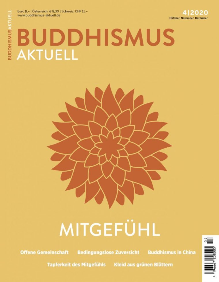 Deutsche Buddhistische Union E.v. – Buddhistische dedans Richtungen Des Buddhismus
