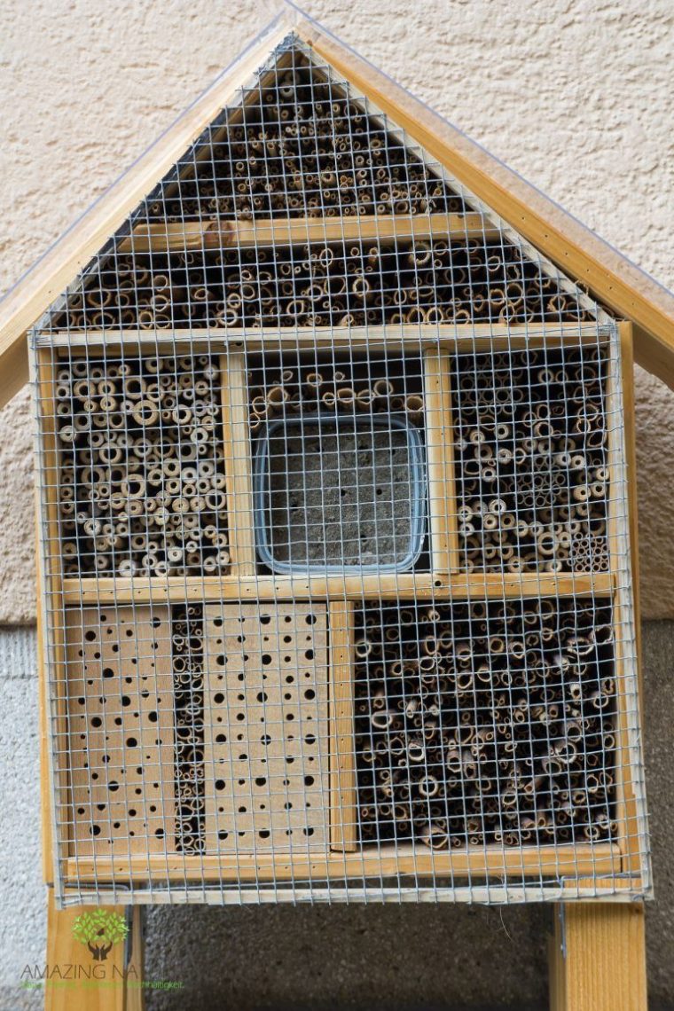 Diese 19 Fehler Beim Bau Eines Insektenhotels Solltest Du à Insektenhotel Bauen Mit Kindern