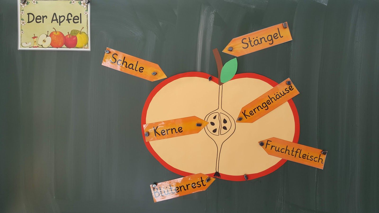 Dieses Jahr Mache Ich Mit Den Erstklässlern Eine Kleine pour Basteln Mit Erstklässlern