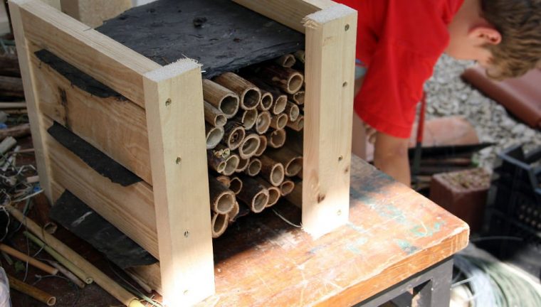 Ein Insektenhotel Selber Bauen – Workshop Im Haus Lochfeld pour Insektenhotel Bauen Mit Kindern