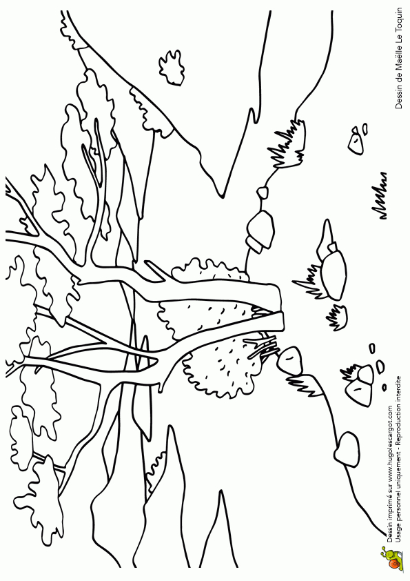 Épinglé Sur Coloriages De Fleurs Et Nature pour Coloriage De Paysage