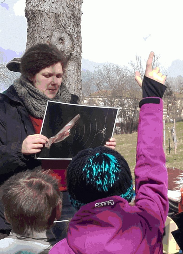 Fledermäuse – Lautlose Jäger Der Nacht – Kids :: Kinder In destiné Fledermaus Kinderseiten