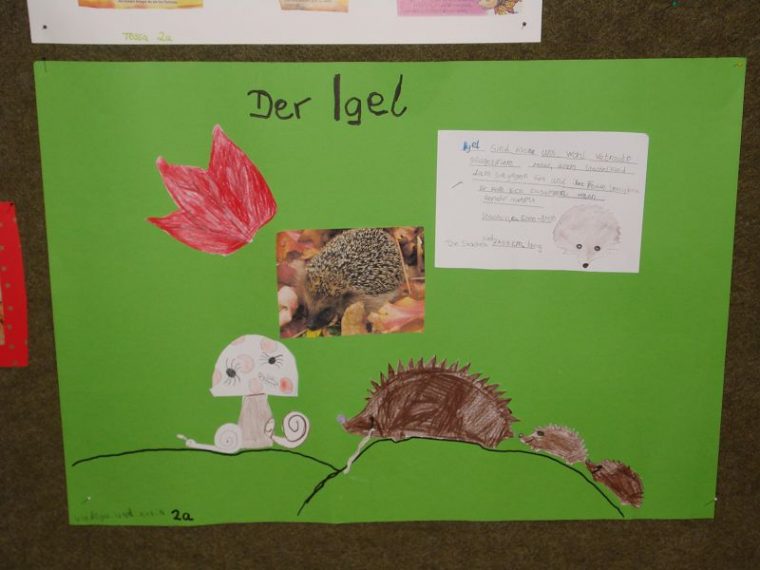 Igelwerkstatt | Grundschule Everswinkel destiné Thema Igel In Der Grundschule