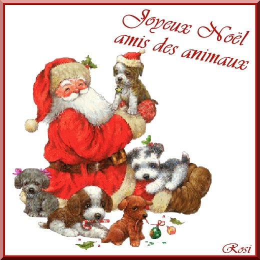 Joyeux Noel Amis Des Animaux destiné Le Noel Des Animaux