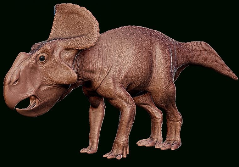 Les Protoceratops: Un Dinosaure À Tête De Combat | Dinosauress destiné Combat De Dinosaure