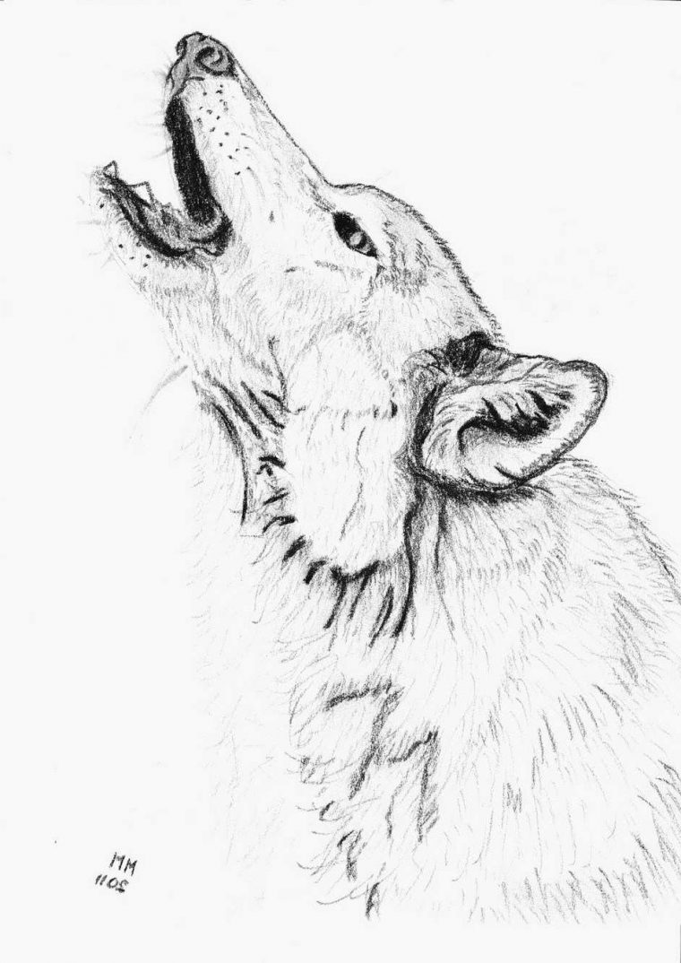 Mandala De Loup A Imprimer : Tete De Loup Coloriages pour Coloriage Tête De Loup Mandala De Loup A Imprimer : Tete De Loup Coloriages pour Coloriage Tête De Loup