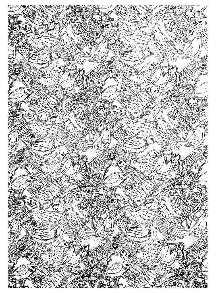 Oiseaux | Animaux – Coloriages Difficiles Pour Adultes pour Coloriage Difficile Oiseaux | Animaux – Coloriages Difficiles Pour Adultes pour Coloriage Difficile