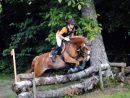 Pferde + Reiten | Familienhotel Reiterhof Runding pour Pferde Reiten Spiele