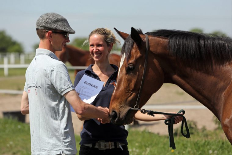 Pferderecht – Was Ist Das Eigentlich? – Mein Pferd – Mein avec Pferdehaltung Kosten
