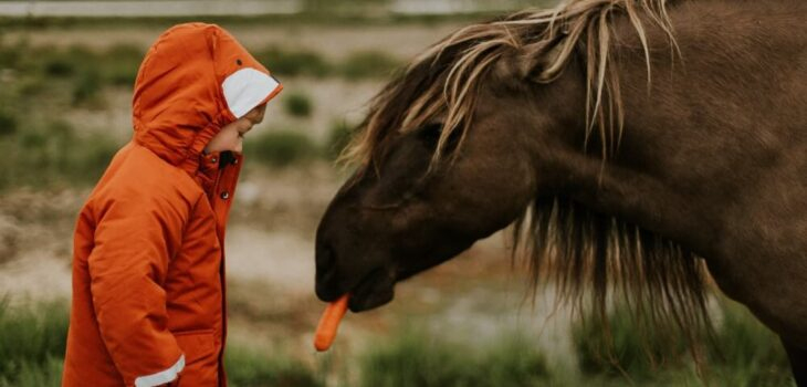 Pferderennen: Spielidee Ohne Material Im Sitzkreis destiné Kinderspiele Mit Pferden