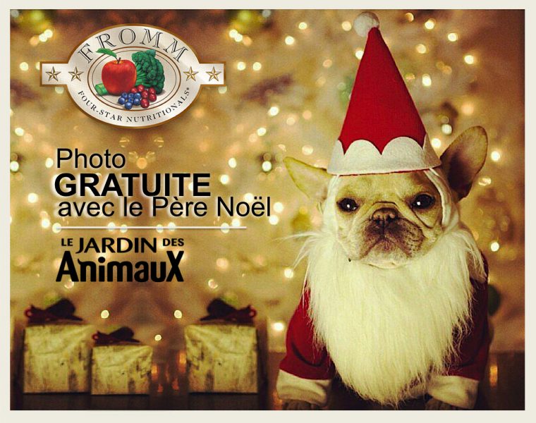Photo Gratuite Avec Le Père Noël, Le 1 Et 2 Décembre À encequiconcerne Le Noel Des Animaux