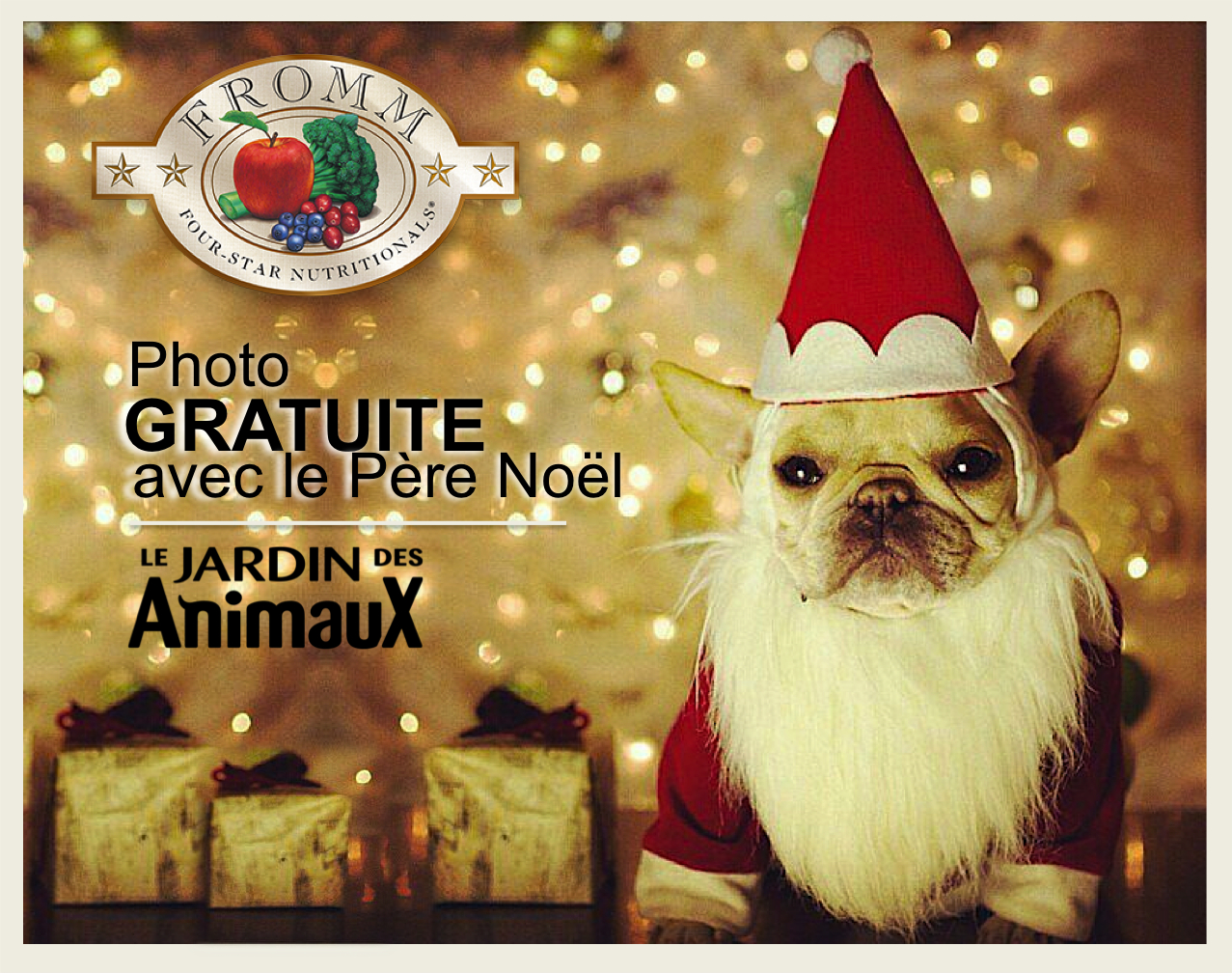 Photo Gratuite Avec Le Père Noël, Le 1 Et 2 Décembre À encequiconcerne Le Noel Des Animaux
