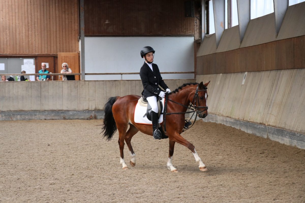 Kleines Reitabzeichen - GreatestColoringBook.com | GreatestColoringBook.com