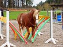 Schwimml-Gasse | Geschenke Für Reiter, Pferdetraining concernant Pferde Reiten Spiele