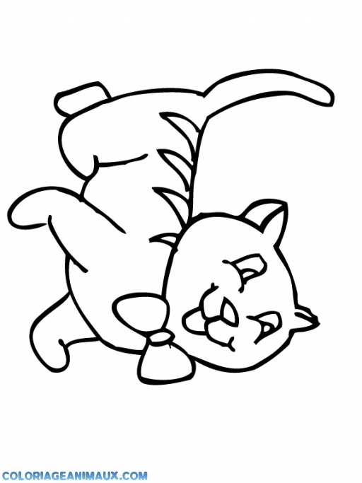 Top24+ Coloriage Noeud Papillon Dessin – Le Reseau serapportantà Coloriage Noeud Papillon Top24+ Coloriage Noeud Papillon Dessin – Le Reseau serapportantà Coloriage Noeud Papillon