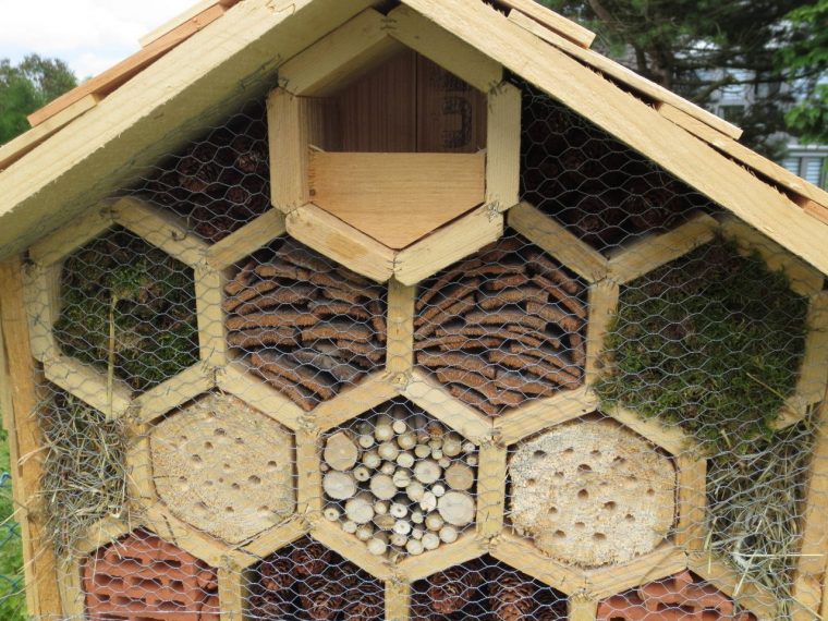 Vier Sterne Insektenhotel – Bauanleitung Zum Selberbauen intérieur Insektenhotel Basteln