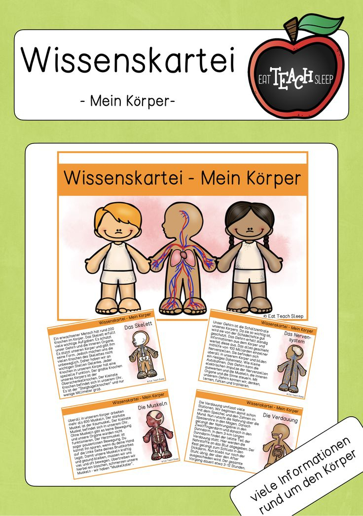 Wissenskartei-Mein Körper In 2020 | Kartei, Wissen concernant Thema Mein Körper Kindergarten