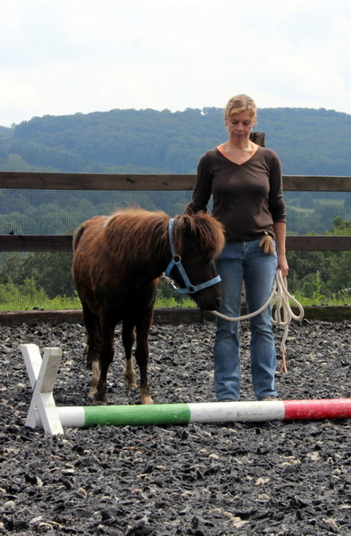 Baispass, Longierabzeichen, Wochenendlehrgänge Mit pour Reitabzeichen Steckenpferd Baispass, Longierabzeichen, Wochenendlehrgänge Mit pour Reitabzeichen Steckenpferd