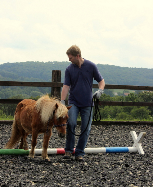 Baispass, Longierabzeichen, Wochenendlehrgänge Mit tout Reitabzeichen Steckenpferd Baispass, Longierabzeichen, Wochenendlehrgänge Mit tout Reitabzeichen Steckenpferd