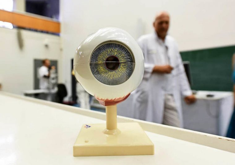 Bz-Leser Erhalten In Der Augenklinik Einblick Ins Auge concernant Wie Ist Das Auge Aufgebaut