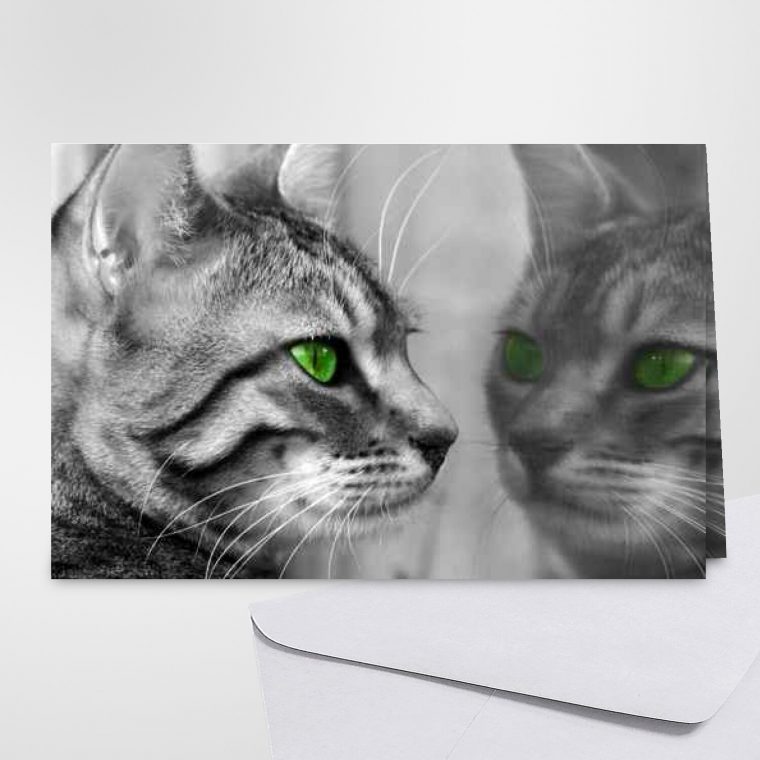 Carte D'Anniversaire Avec Un Chat – Carte Gratuite Carte Chat intérieur Carte Anniversaire Chat