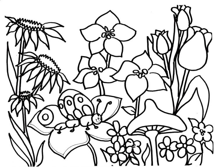Coloriages Saison Printemps (Nature) – Album De Coloriages serapportantà Coloriage De Printemps