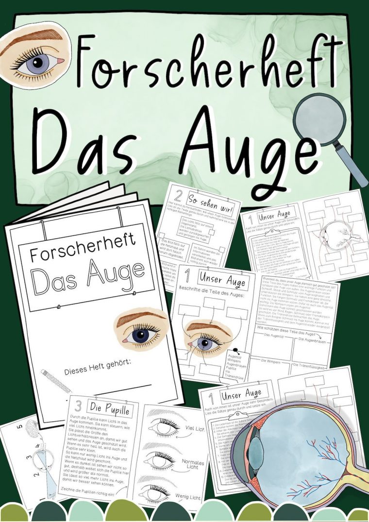 Das Auge – Materialpaket Mit Forscherheft & Bildkarten concernant Aufbau Auge Grundschule