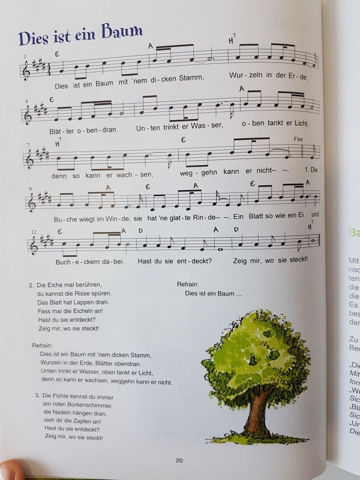 Dies Ist Ein Baum #Lied #Kita #Kindergarten #Erzieher # concernant Begrüßungslied Kindergarten