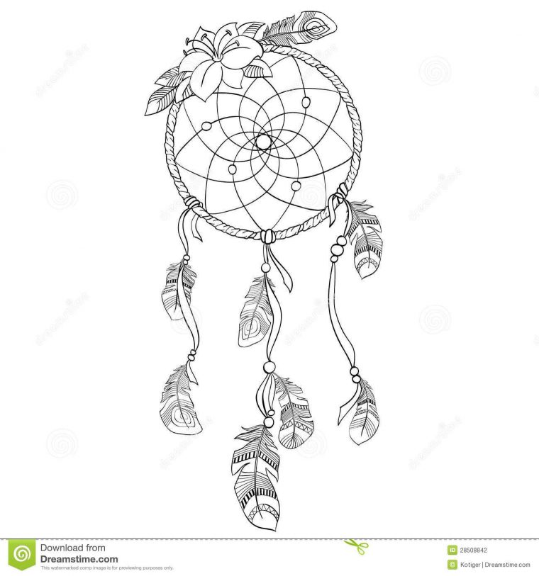 Épinglé Sur Coloriage Attrapes Reves pour Coloriage Attrape Reve Épinglé Sur Coloriage Attrapes Reves pour Coloriage Attrape Reve