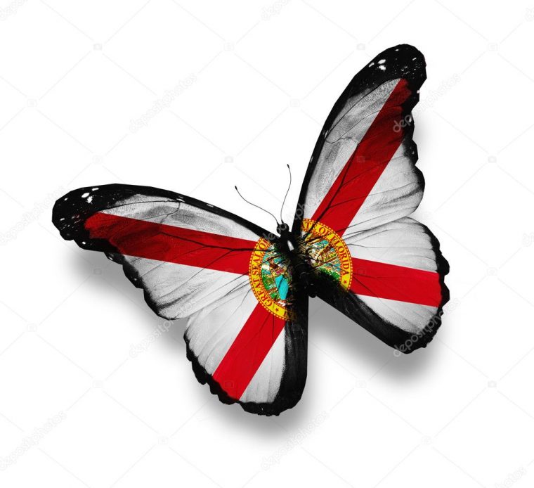 Florida-Flagge Schmetterling, Isoliert Auf Weiß encequiconcerne Schmetterling Spanisch