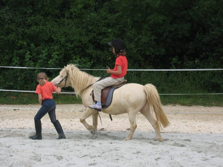 "Ich Wünsche Mir Ein Pferd!" – 5 Gründe, Weshalb Kinder à Mit Pferden Spielen