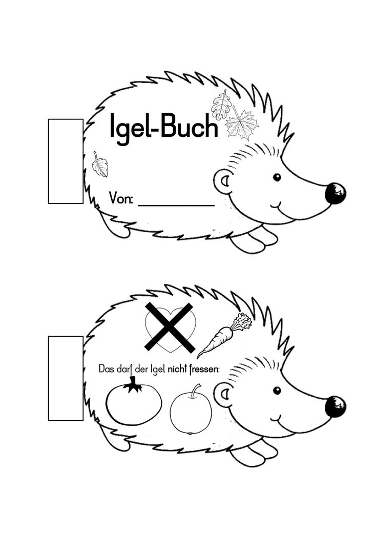 Igel-Buch Für Die 1. Klasse | Igel, Erste Klasse, Bücher concernant Arbeitsblätter Apfel Grundschule Igel-Buch Für Die 1. Klasse | Igel, Erste Klasse, Bücher concernant Arbeitsblätter Apfel Grundschule