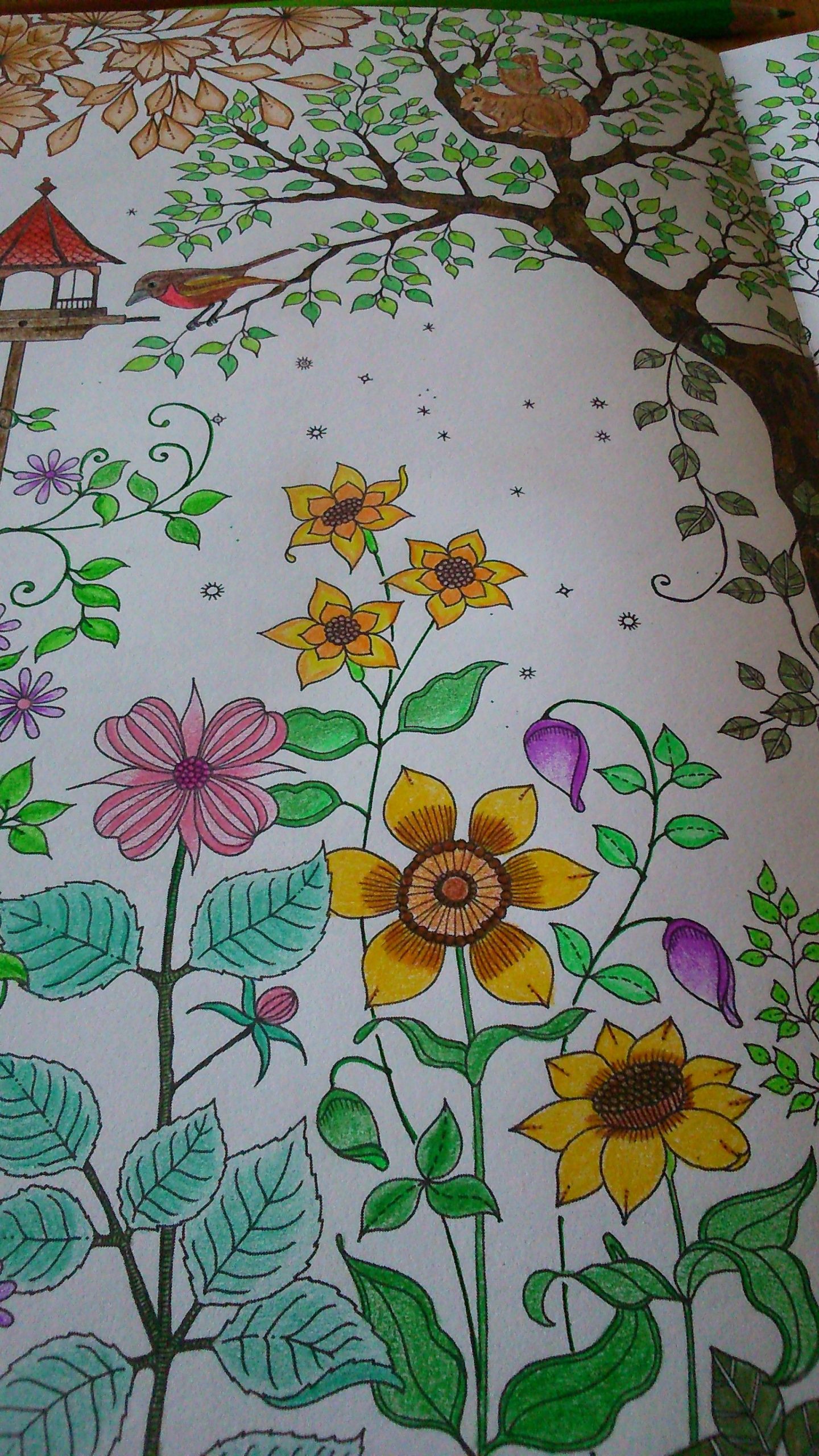 Johanna Basford - Jardin Secret / Secret Garden # serapportantà Coloriage Jardin Secret