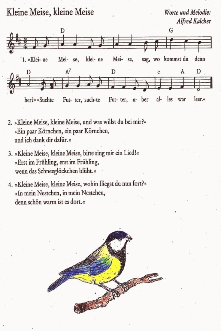 Kleine Meise | Kindergarten Lieder, Kinder Lied, Kinderlieder avec Frühlingslied Kindergarten