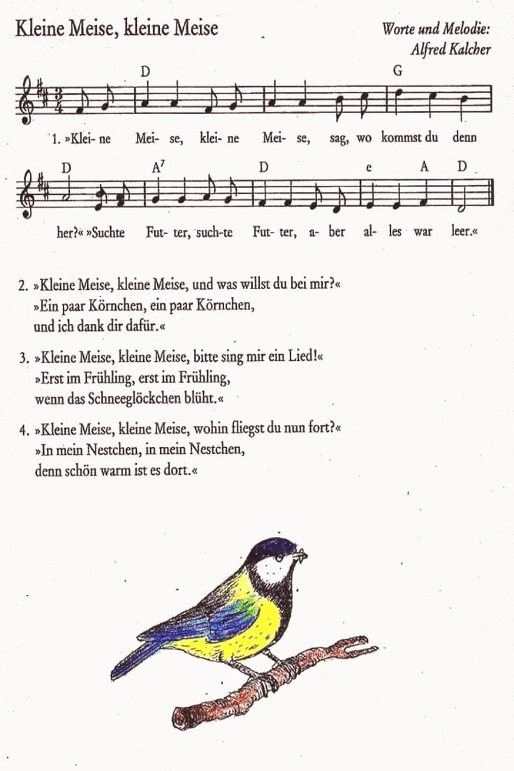 Kleine Meise | Kindergarten Lieder, Kinder Lied, Kinderlieder avec Frühlingslied Kindergarten Kleine Meise | Kindergarten Lieder, Kinder Lied, Kinderlieder avec Frühlingslied Kindergarten