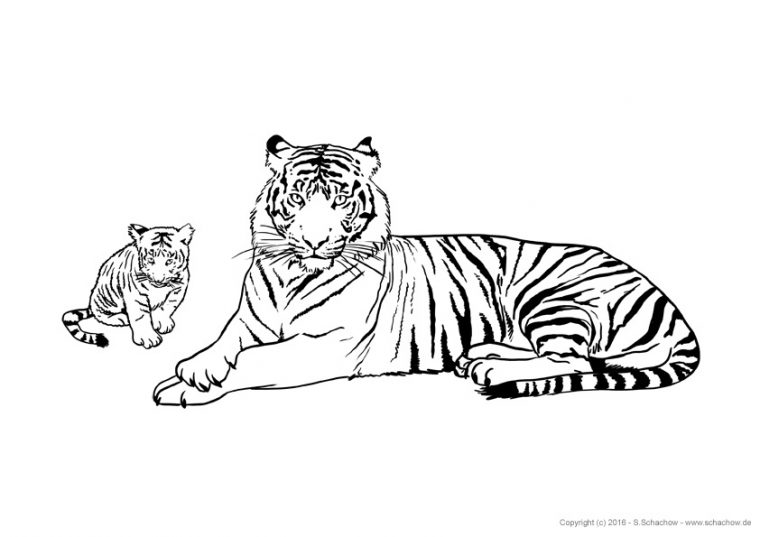 Kostenlose Tierbilder Zum Ausmalen – Ausmalbilder Von serapportantà Schöne Bilder Zum Ausmalen