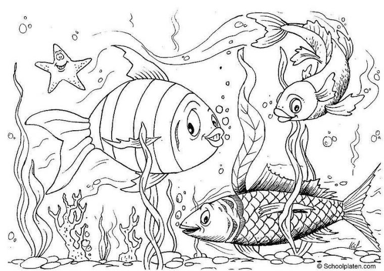 Malvorlage Fische – Kostenlose Ausmalbilder Zum Ausdrucken encequiconcerne Fische Zum Ausmalen